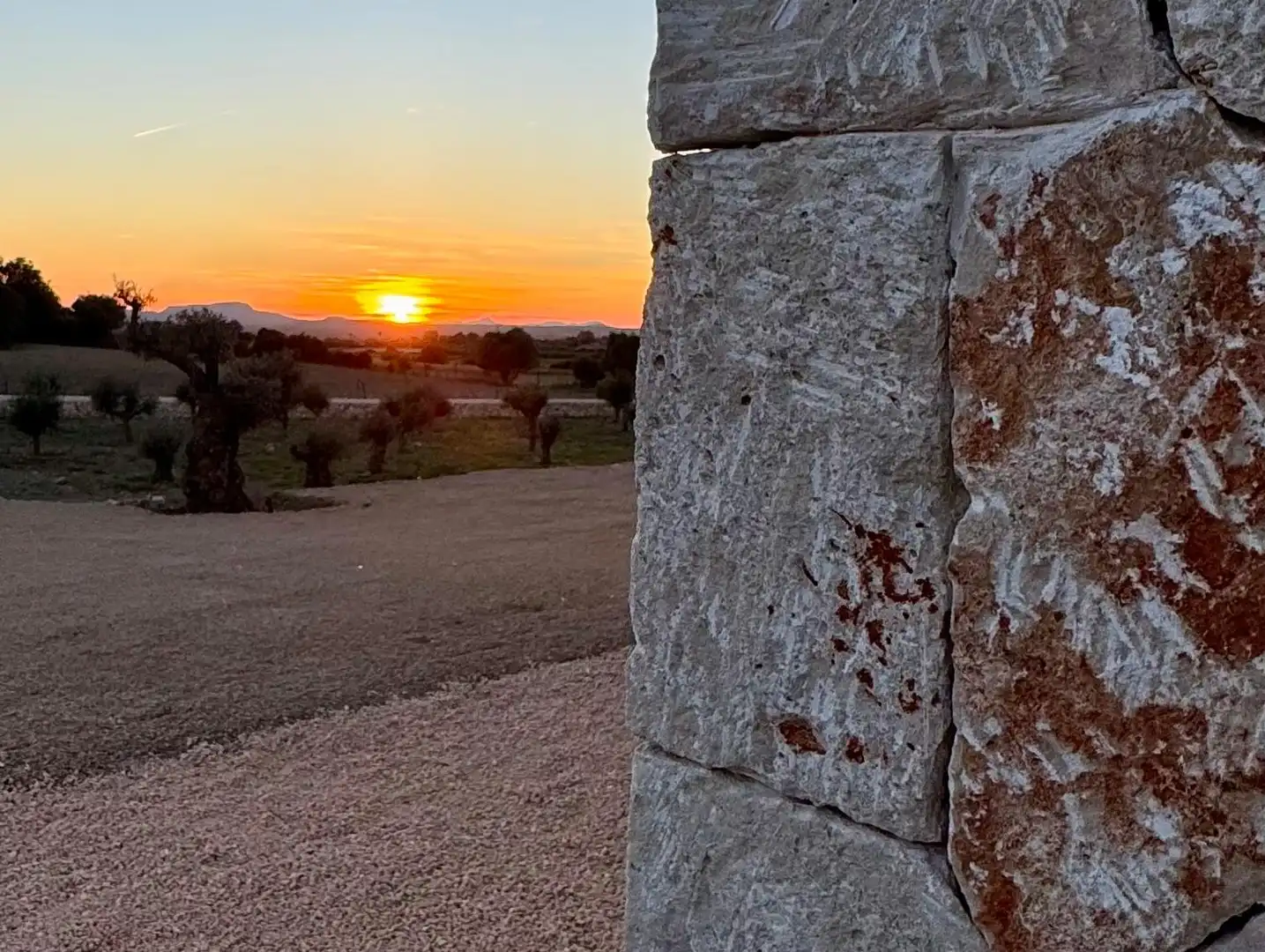 Vista exterior de Finca rústica en venda en Manacor amb Aire condicionat, Calefacció i Traster