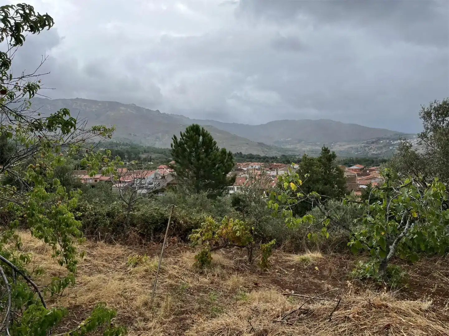 Terreno en venta en Valverde del Fresno