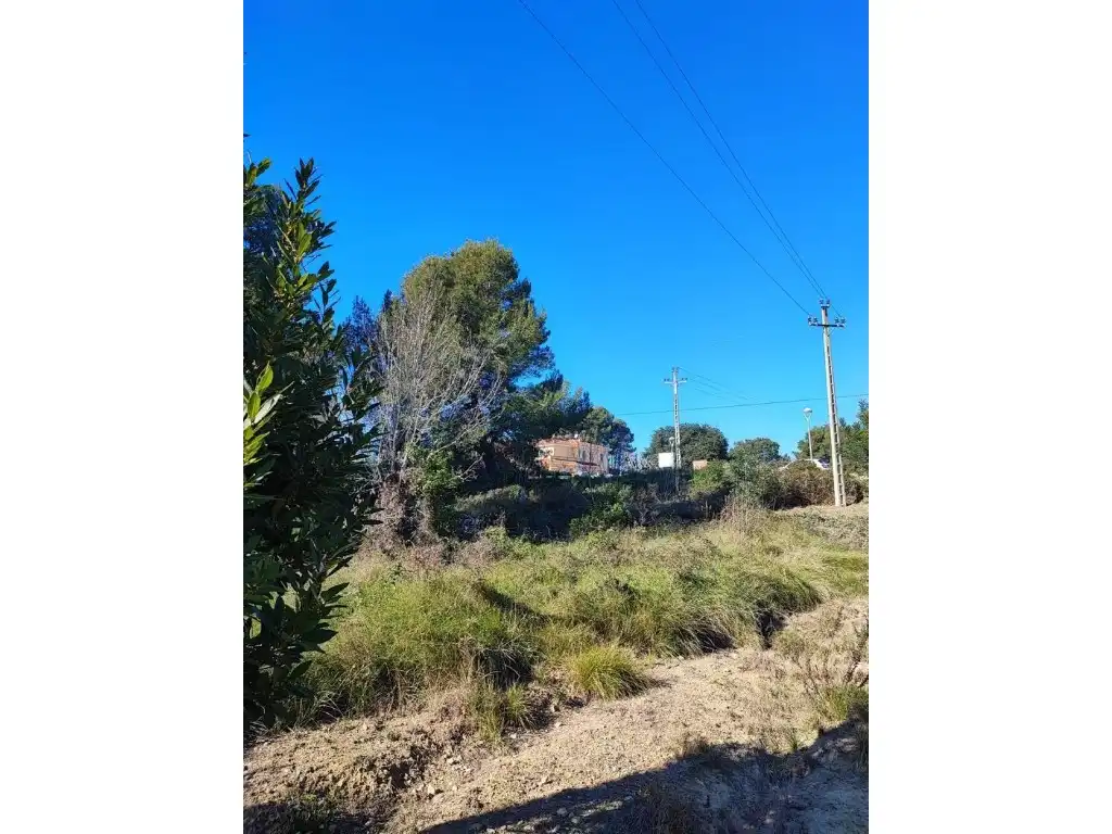 Terreno residencial en venta en Calle Ceps Dels, imagen 6