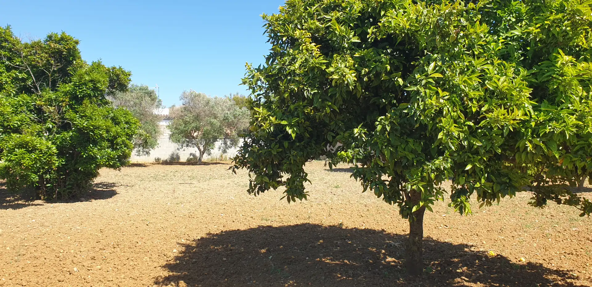 Terrenys i solars en venda a Pelagatos - Pago del Humo, imagen 4