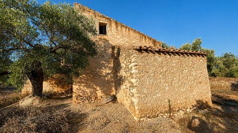 Foto 3 de Finca rústica en venta en L'Ampolla, Tarragona