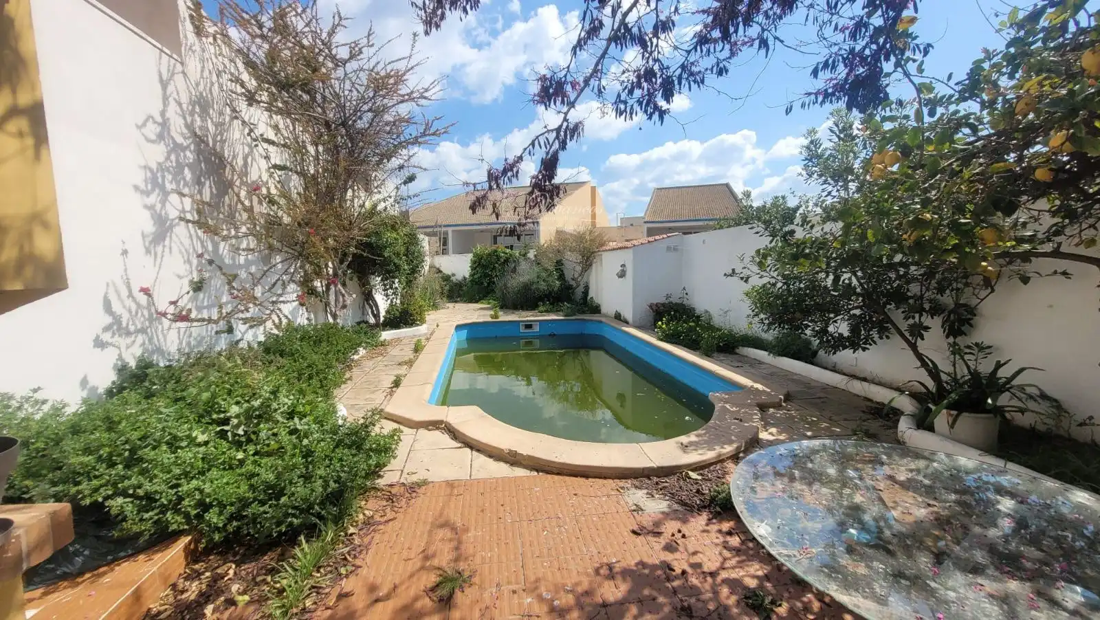 Piscina de Casa o xalet en venda en  Palma de Mallorca amb Terrassa