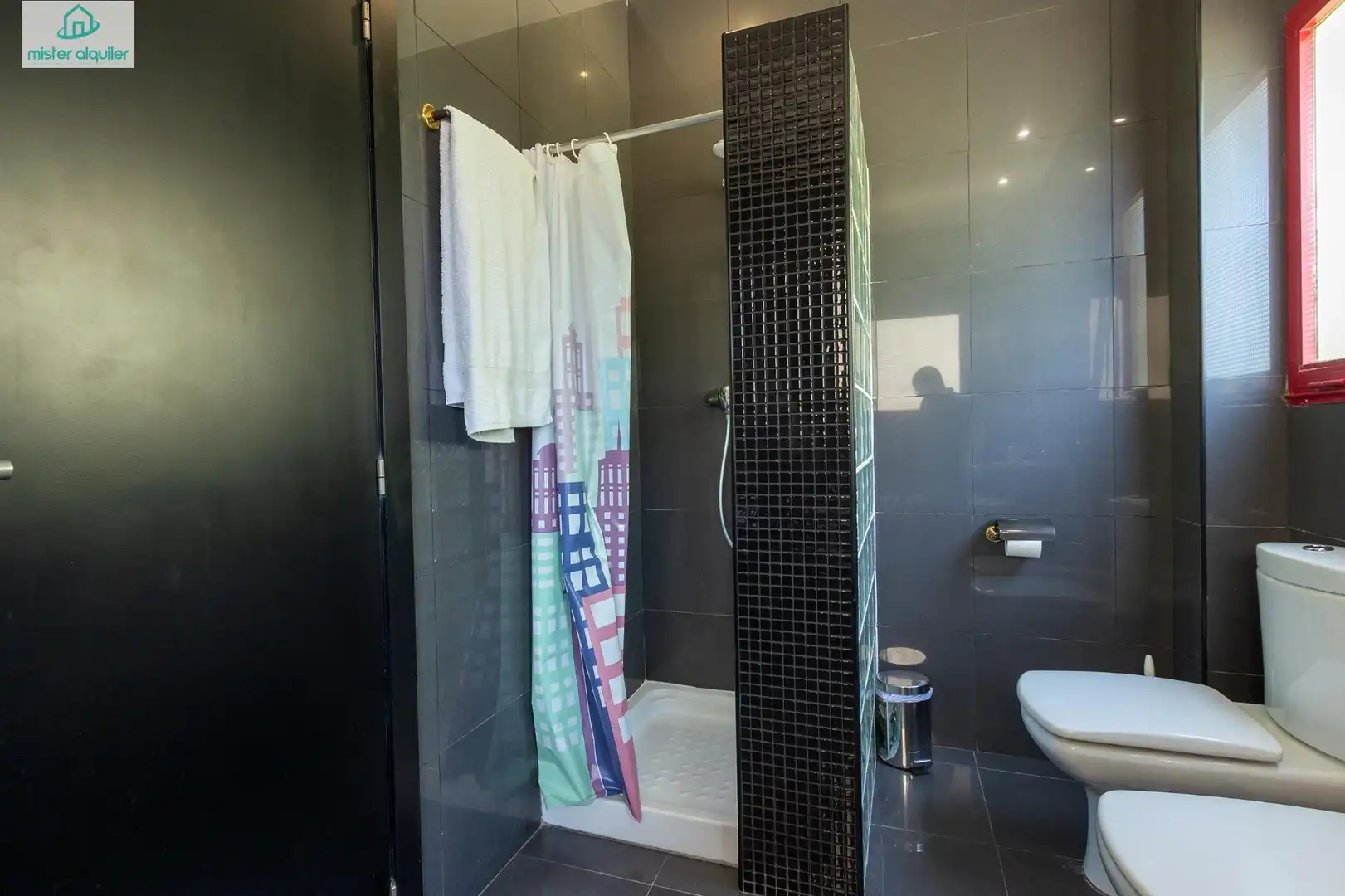 Bathroom of Apartments for rent in El Campello  with Air Conditioner, Terrace and Furnished