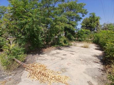 Terreno rustico in vendita a Santa Teresa - Vereda