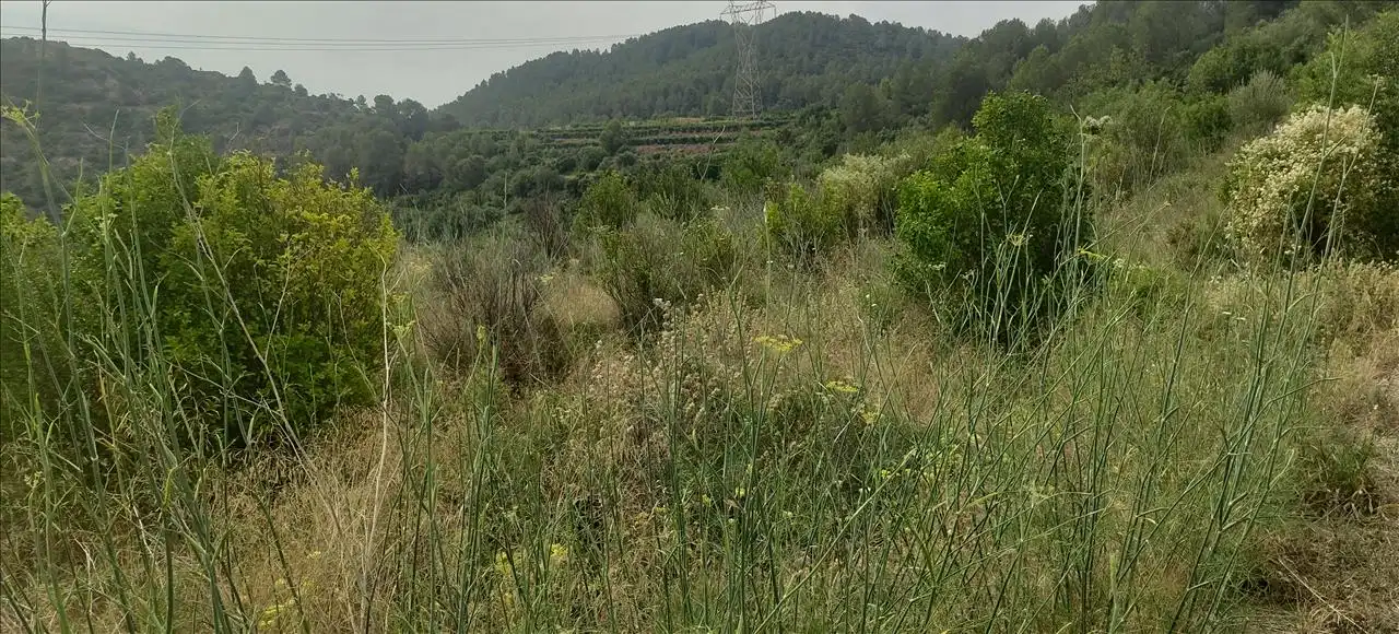 Terreno residencial en venta en Olivares, imagen 23