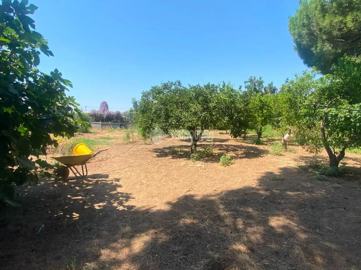 Country homes for sale in Dos Hermanas