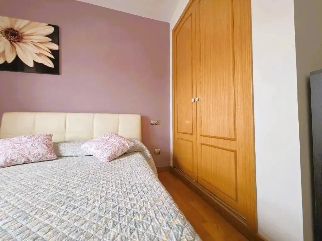 Penthouse with pool to rent in Avenida MARIA VICTORIA ATENCIA, imagen 16