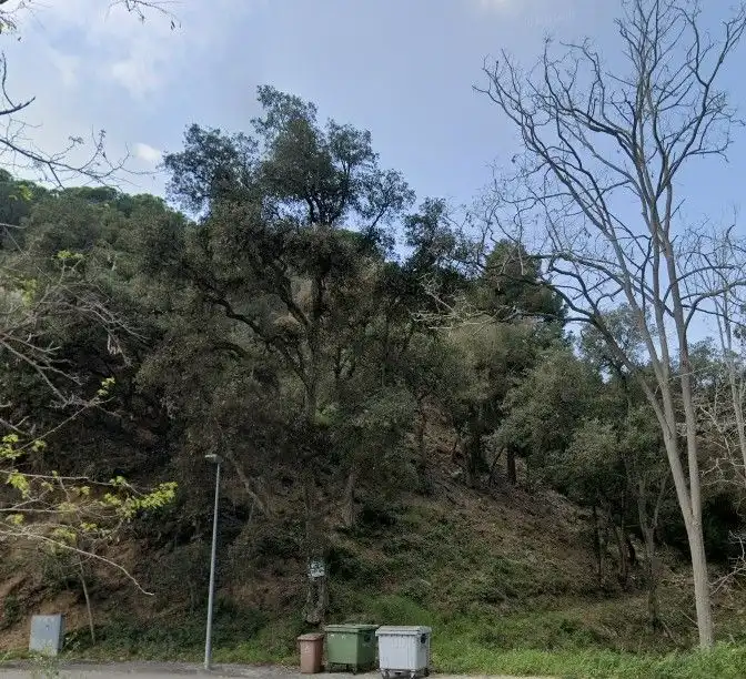Terrenos y solares en venta en Canyelles, imagen 13