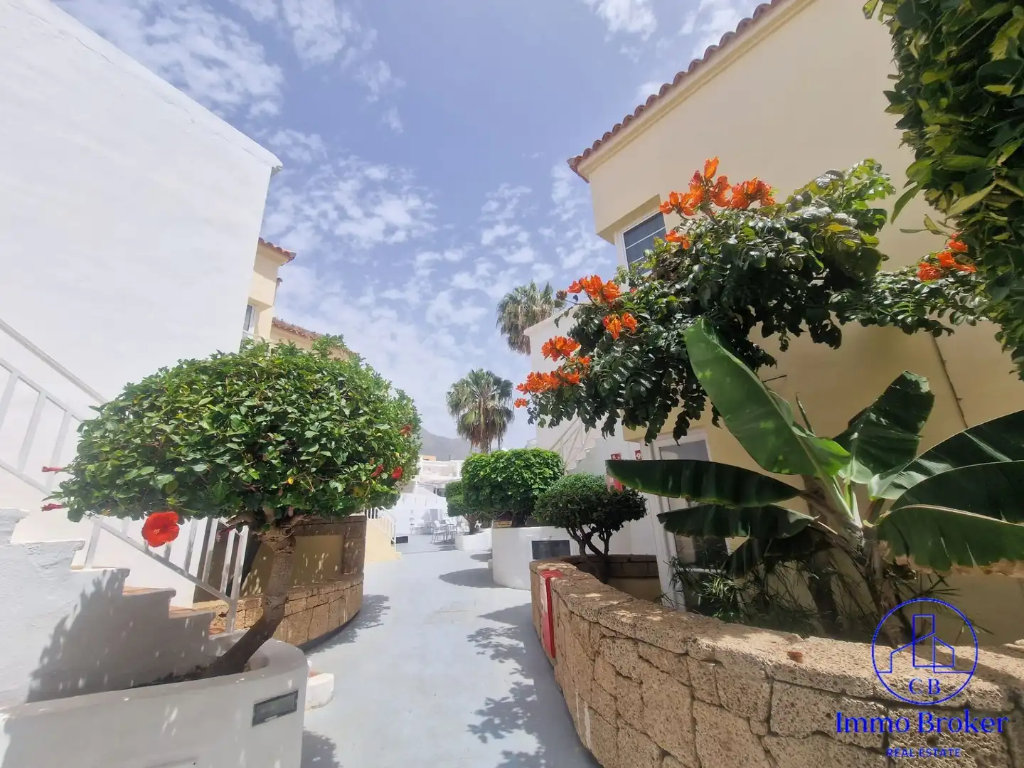 Appartement avec piscine à vendre à Costa Adeje, imagen 32