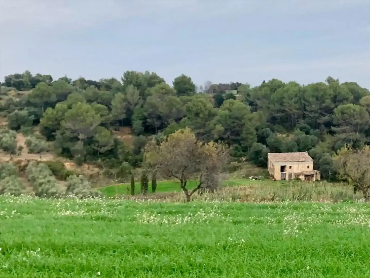 Pis en venda en Lladó, Girona