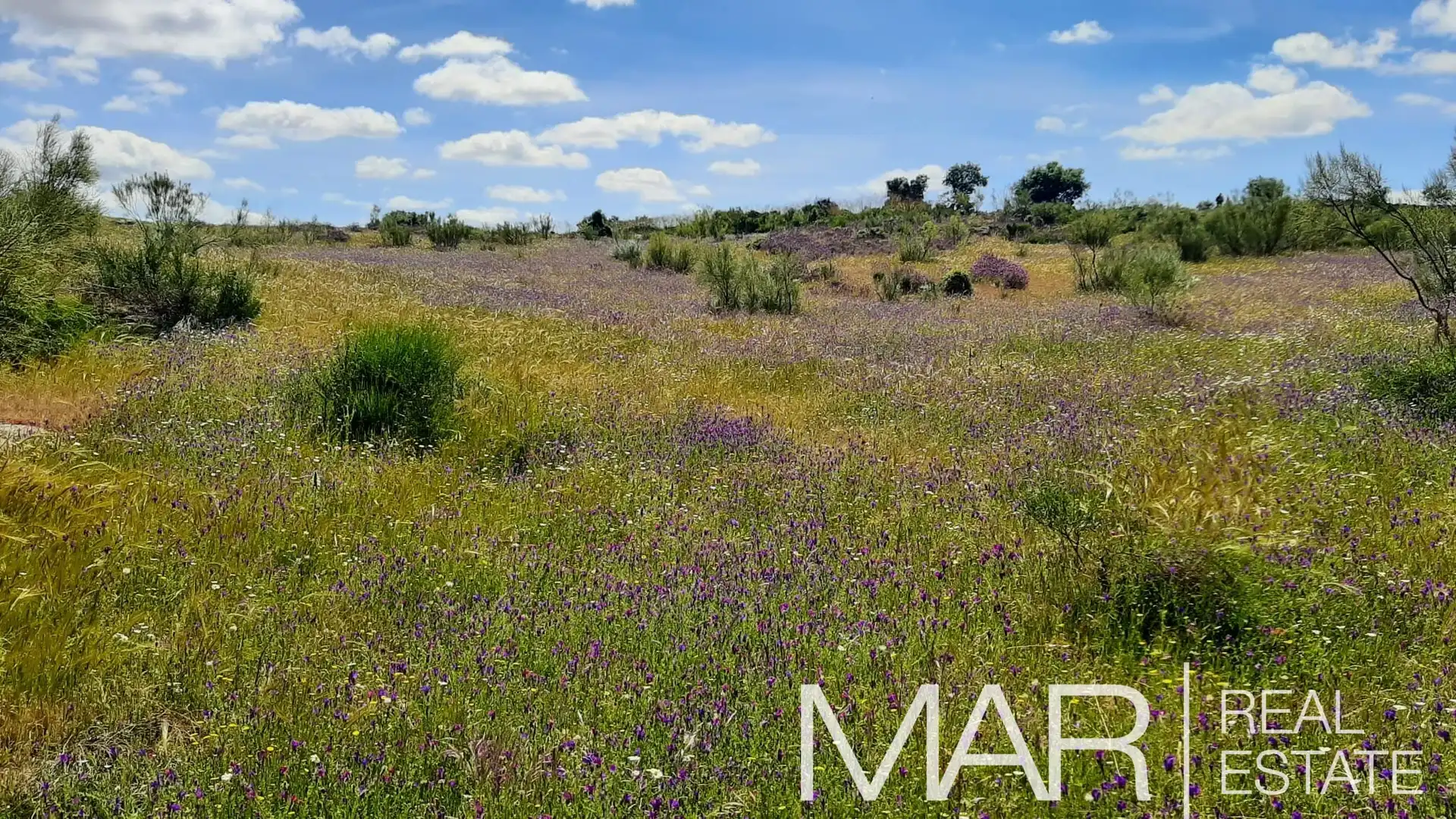 Terreni e lotti in vendita a Villar del Pedroso, imagen 7