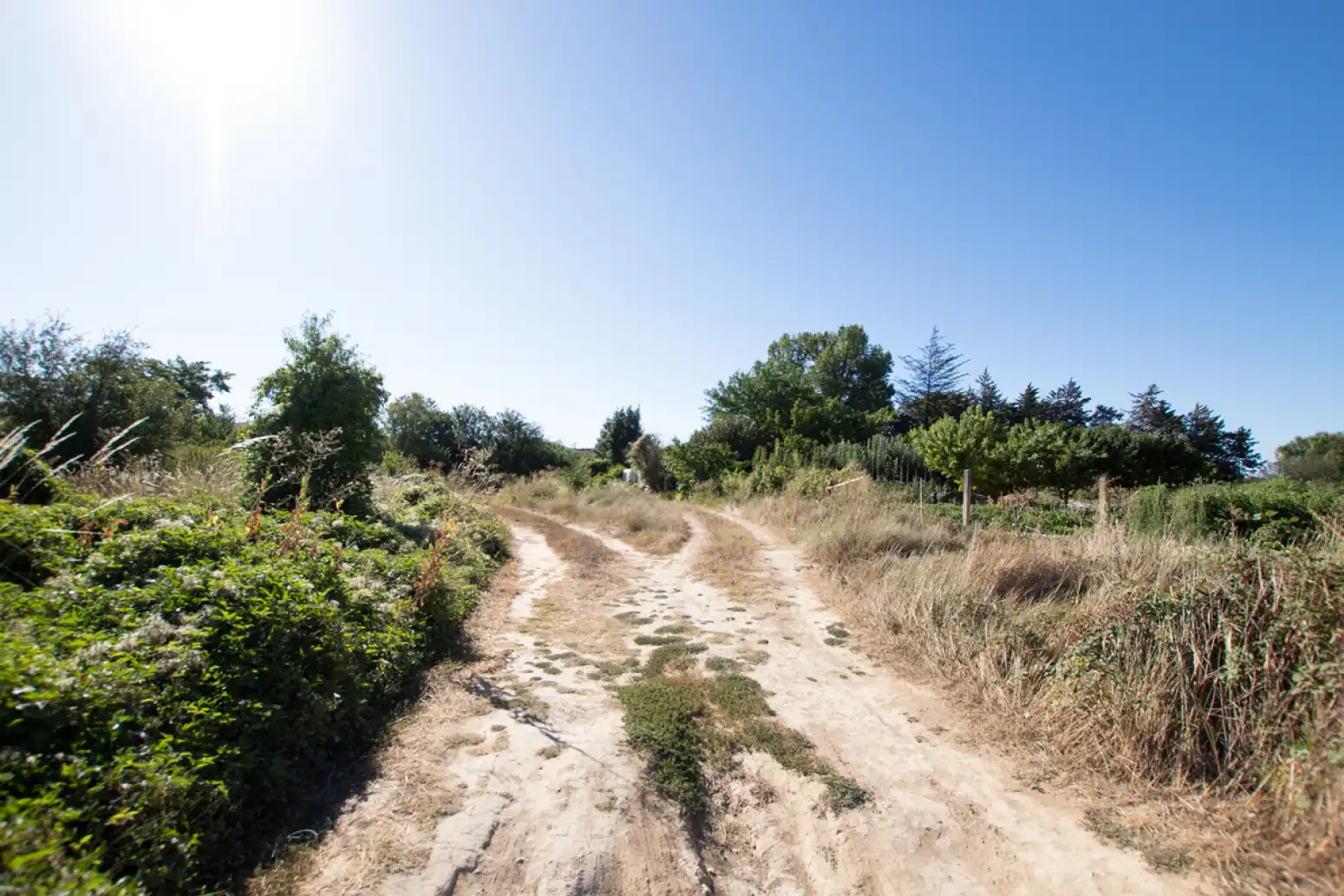 Land for sale in Tafalla - PARAJE MAKOTXA, Tafalla