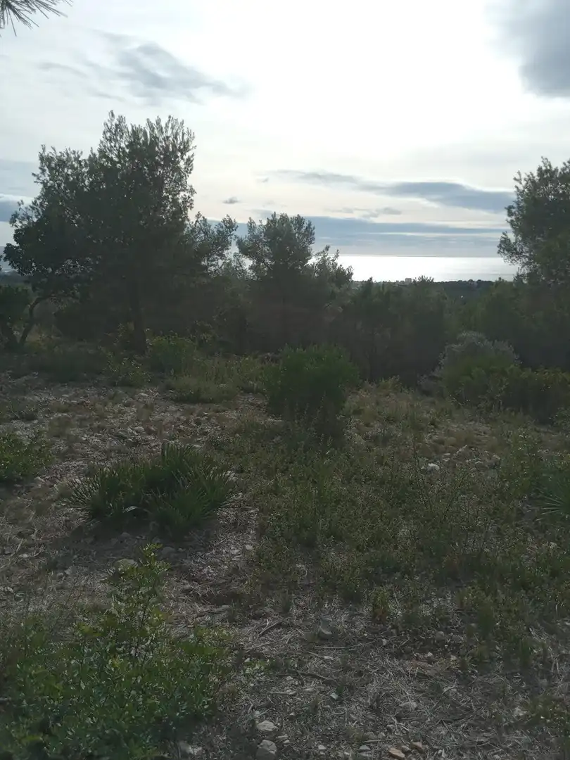 Residential for sale in Carrer Crisantem, 49, Costa Cunit - Els Jardins - Els Rosers