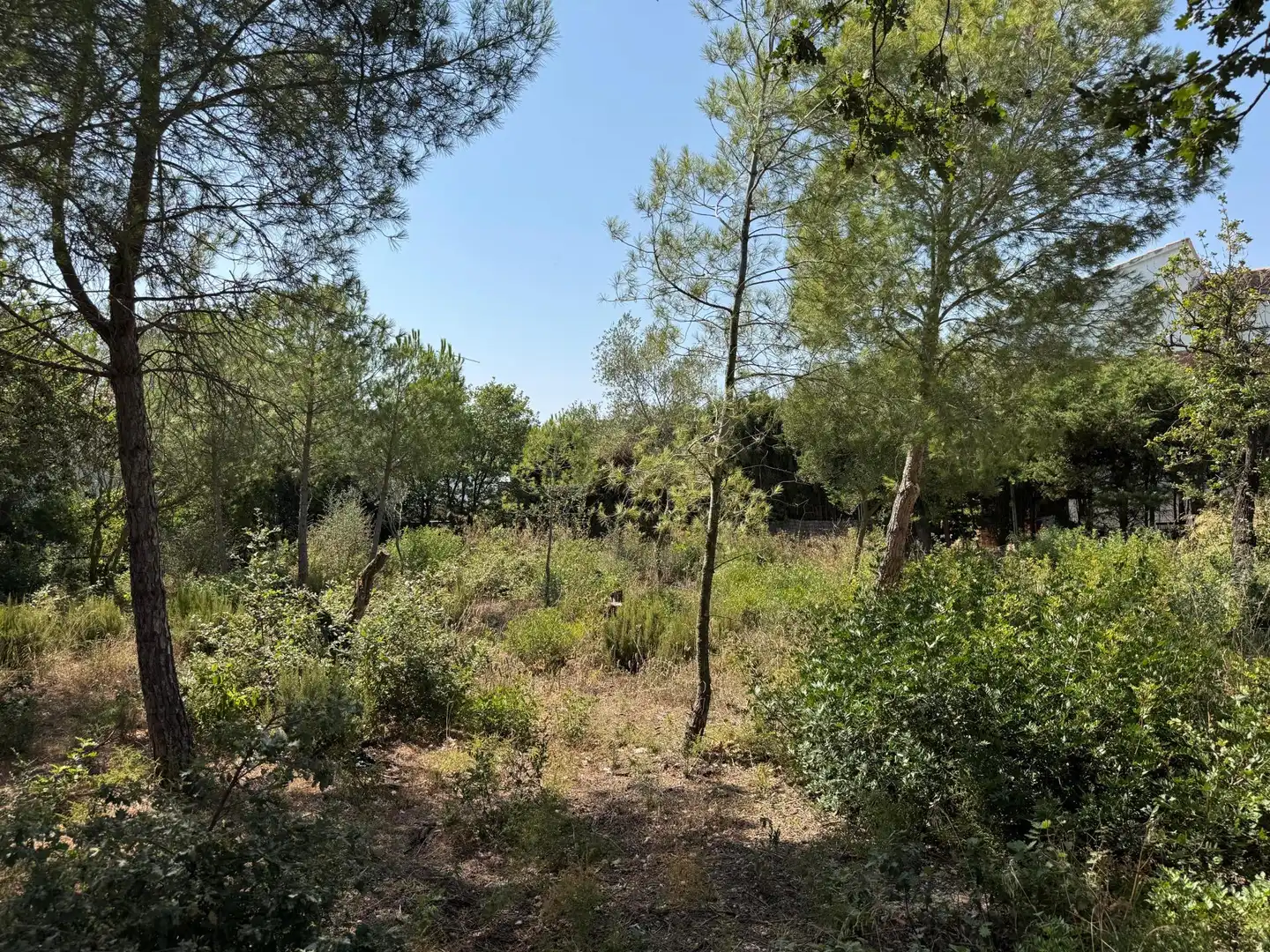 Residential for sale in DE L'EUCALIPTUS, 40, Nord