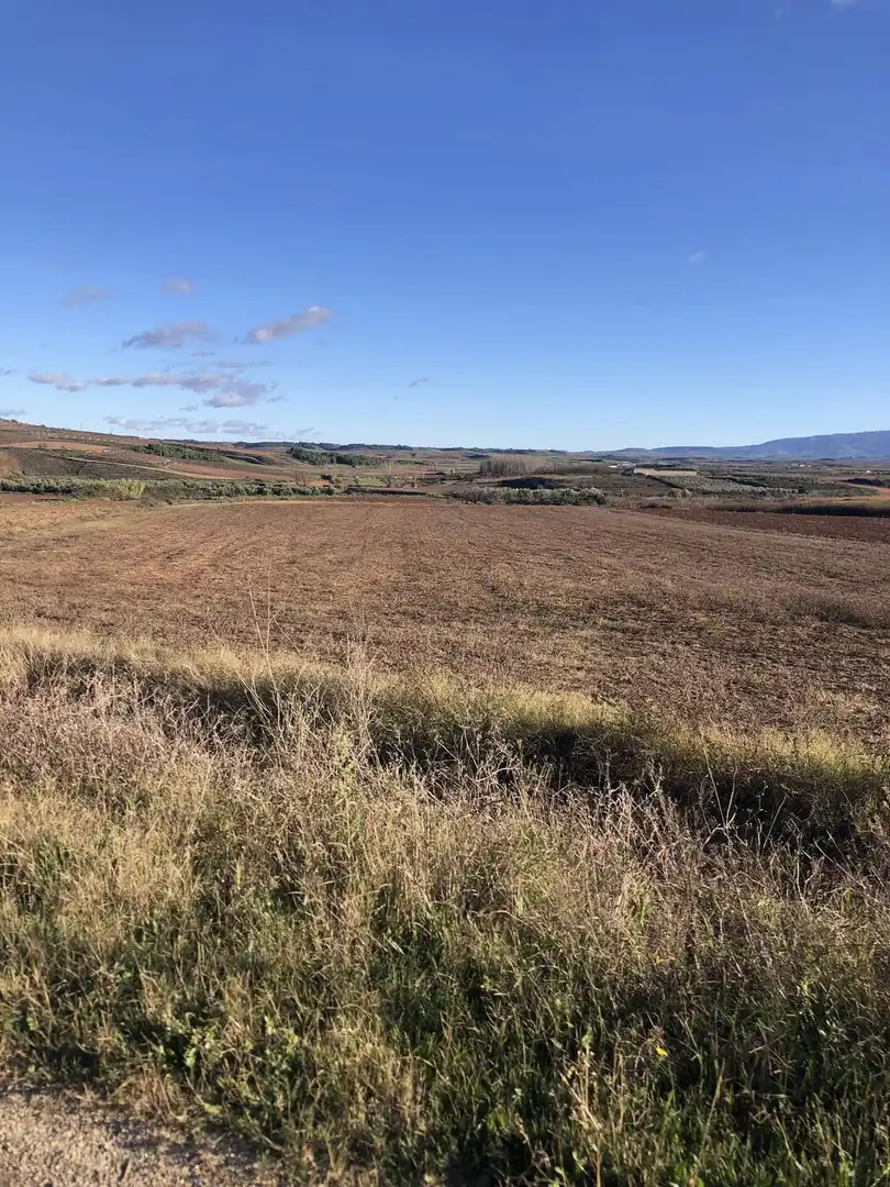 Terreny rústic en venda a Villamediana de Iregua, imagen 3