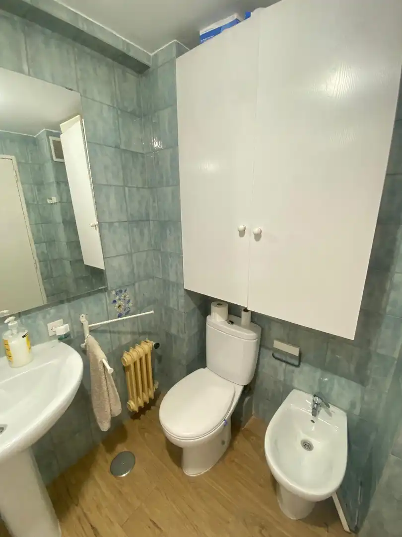 Bathroom of Flat for rent in Madrid  with Air Conditioner, Heating and Private garden