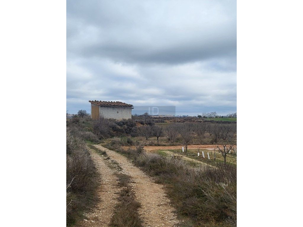 Finca rústica en venda en Montoliu de Lleida