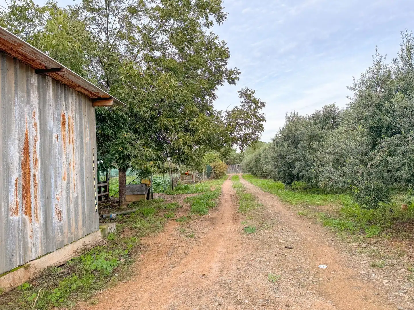 Finca rústica en venda a BURGAR DEL, 40, Riudoms