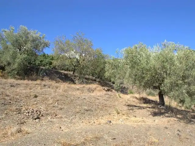 Terreni e lotti in vendita a Canillas de Albaida