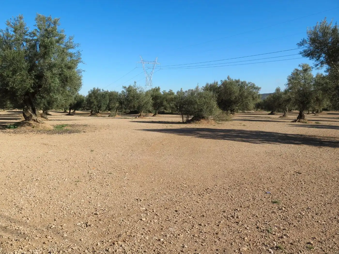 Terreno rustico in vendita a Carrer 2 Vila. Llarga, imagen 9