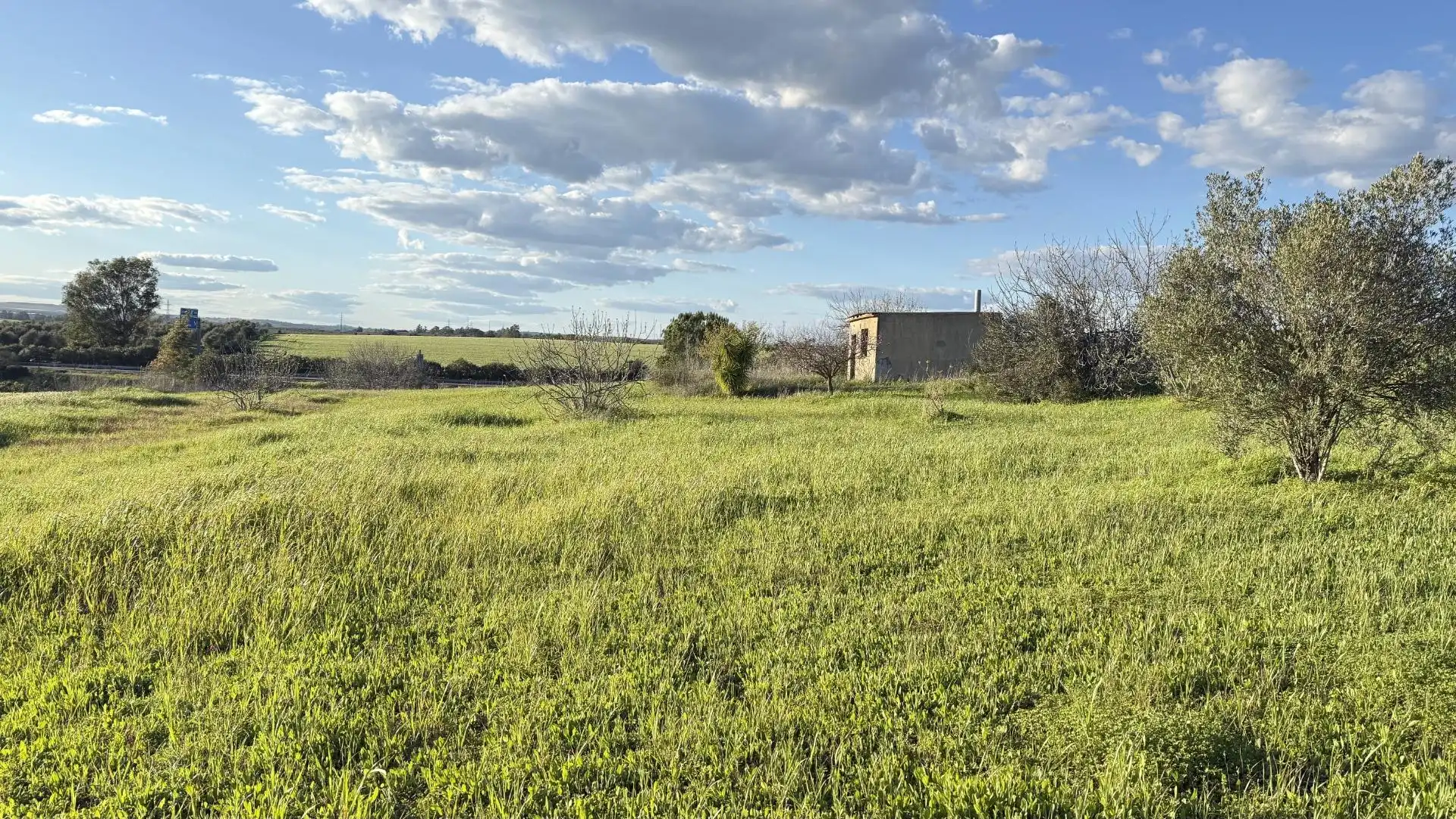 Terreno en venta en Gibraleón