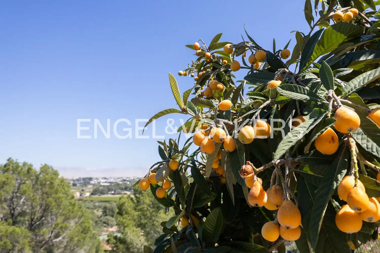 Vista exterior de Casa o chalet en venta en Dénia con Calefacción y Jardín privado