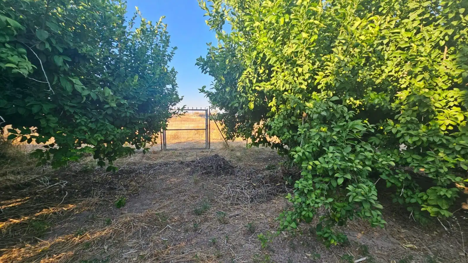 Finca rústica en venta en Librilla