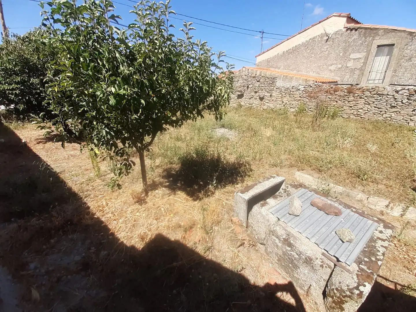 Casa o xalet en venda en Carbellino