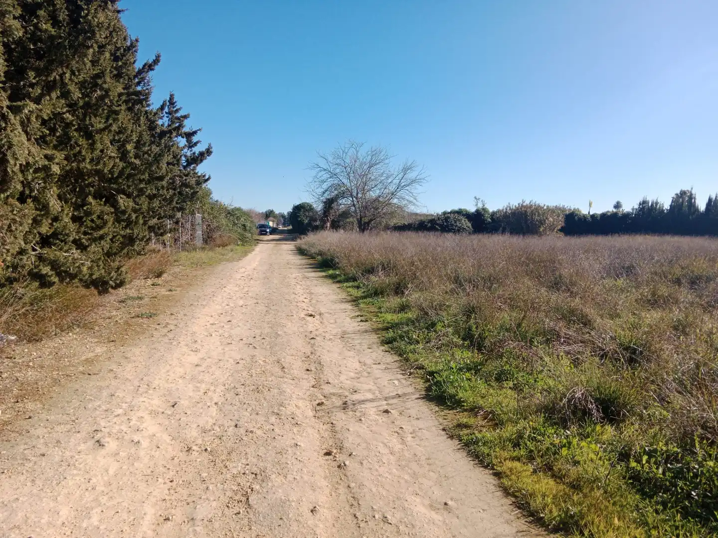Terreno en venta en Utrera