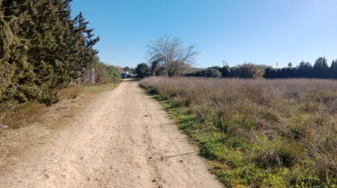 Foto 5 de Terreno en venta en Pedanías Norte, Utrera