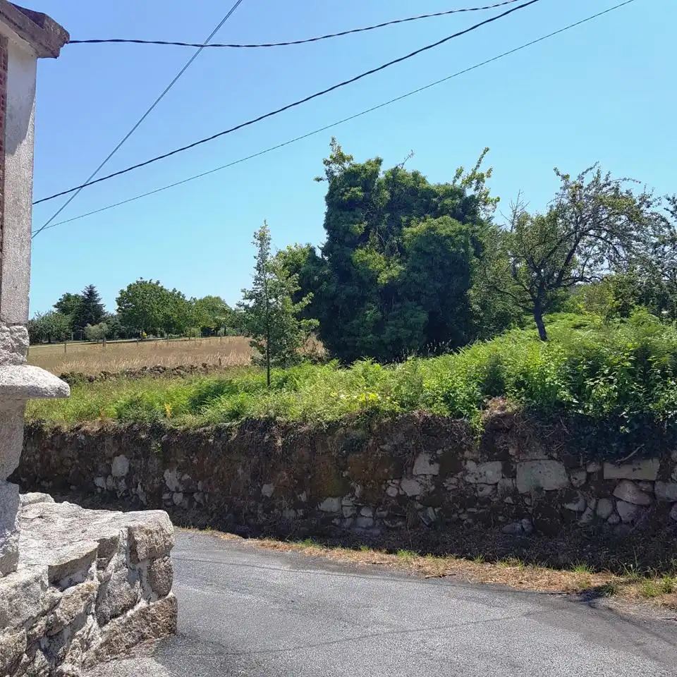 Casa o xalet en venda en O Pereiro de Aguiar  amb Jardí privat