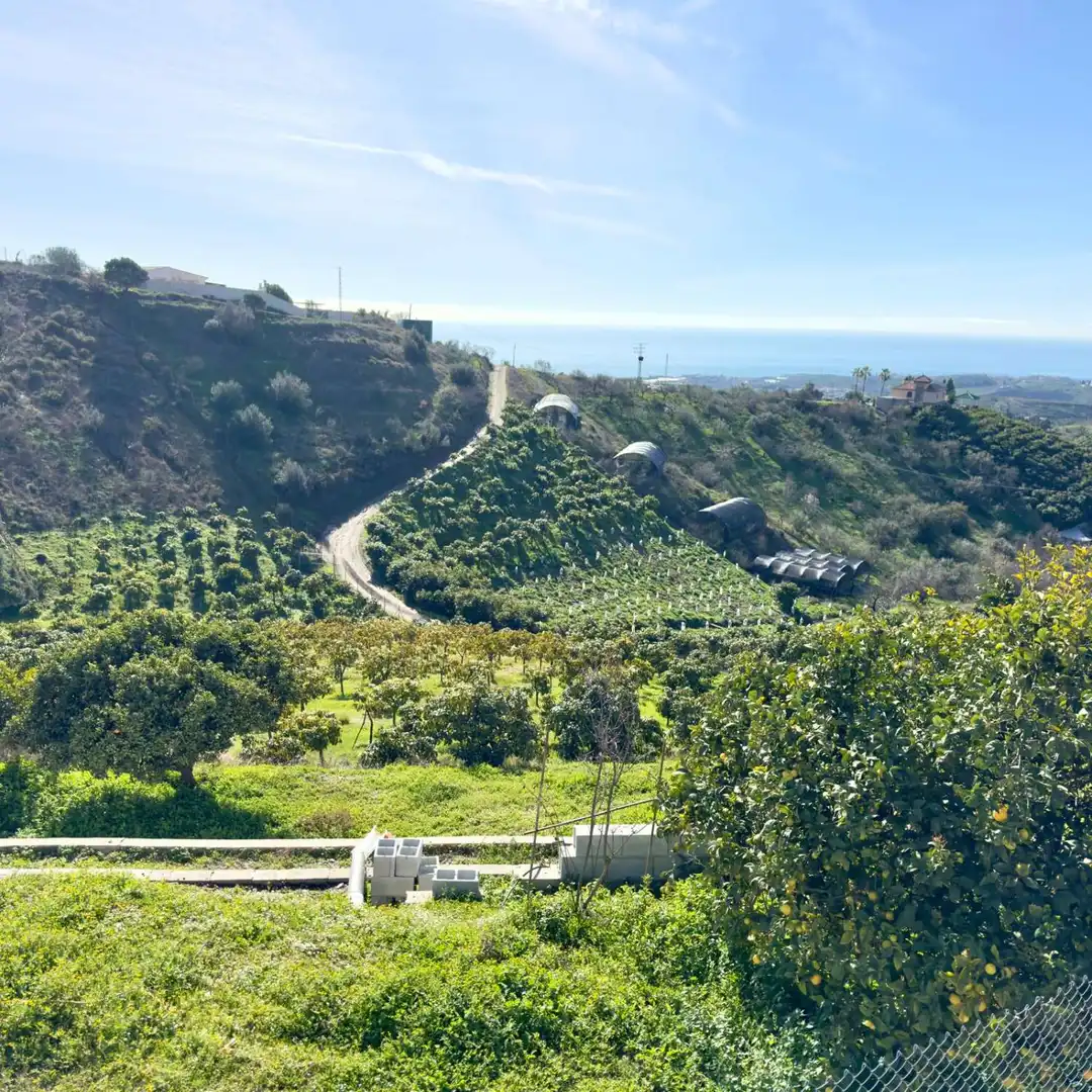 Vista exterior de Finca rústica en venda en Vélez-Málaga amb Moblat