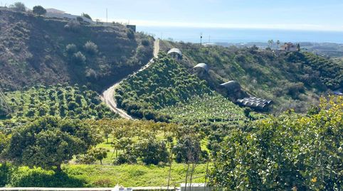 Foto 5 de Finca rústica en venda a N/a, -1, Capuchinos - Los Olivos, Vélez-Málaga