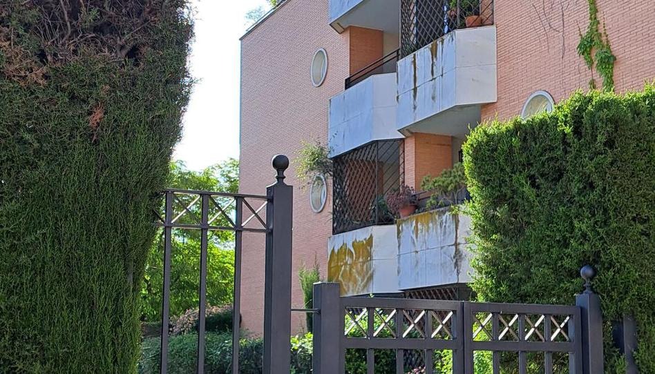 Photo 1 of Flat to rent in Bami - La Estrella, Sevilla