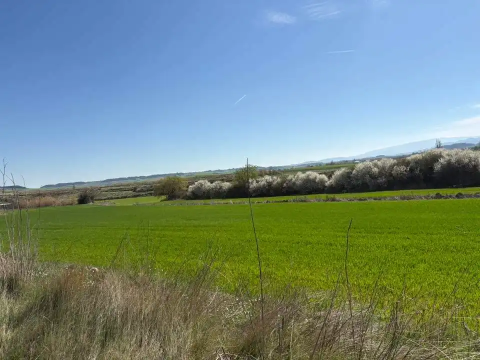 Rustikales Grundstück zum Verkauf in Villamediana de Iregua, imagen 3
