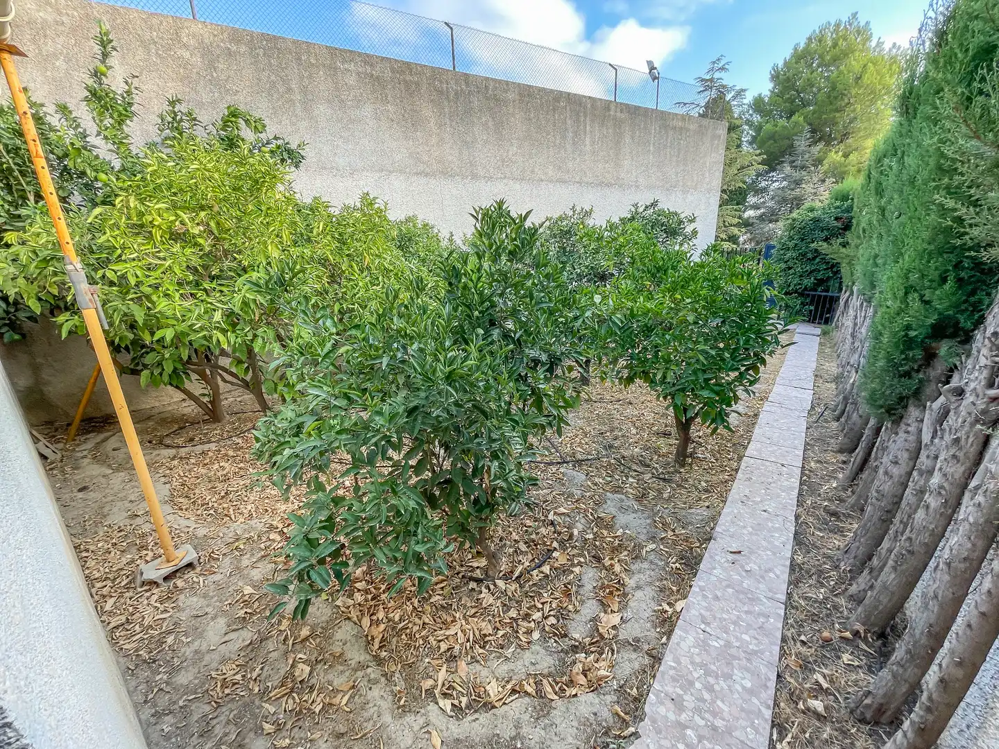 Xalet amb terrassa en venda a Calle Alonso Cano 16, imagen 32