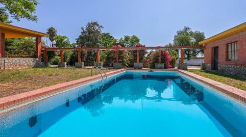 Foto 4 de Casa o xalet en venda a Camino de Cerralde, Villanueva del Ariscal, Sevilla
