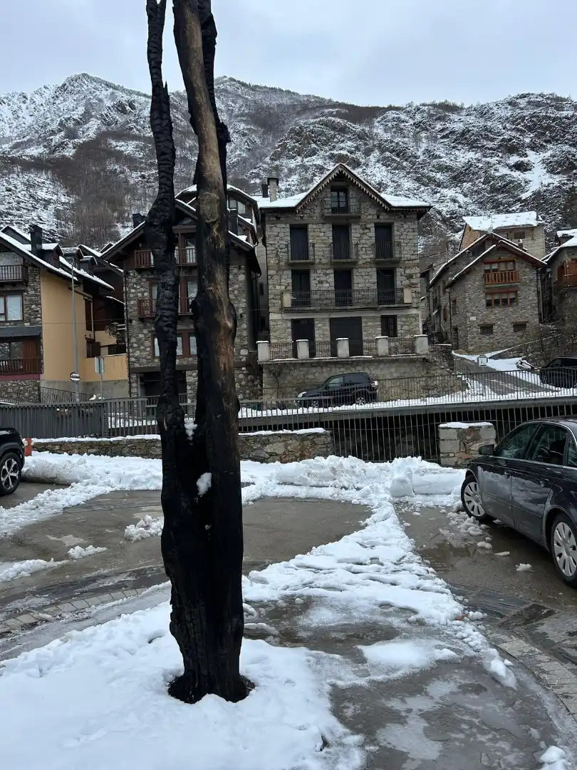 Casa in vendita a Carrer de la Molina-isil 1, imagen 6
