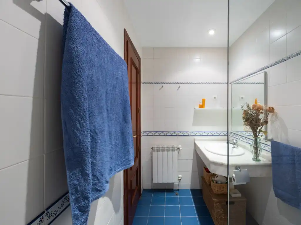 Baño de Casa o chalet en venta en Villaviciosa de Odón