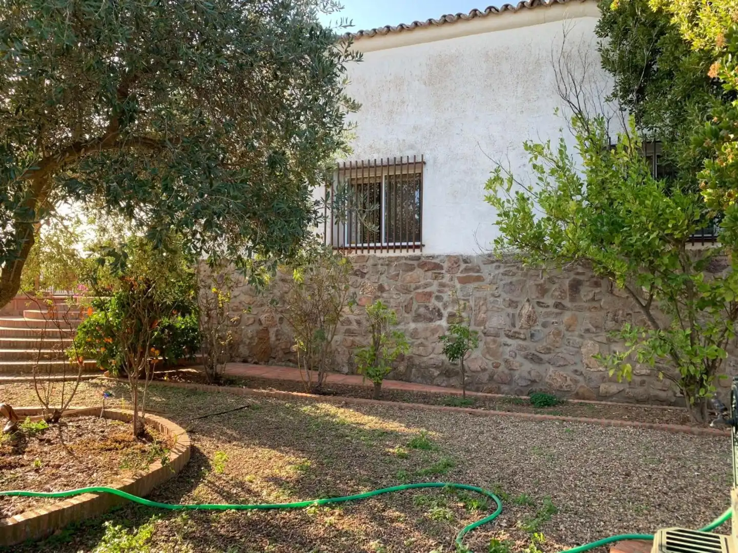 Garden of Land for sale in Garbayuela