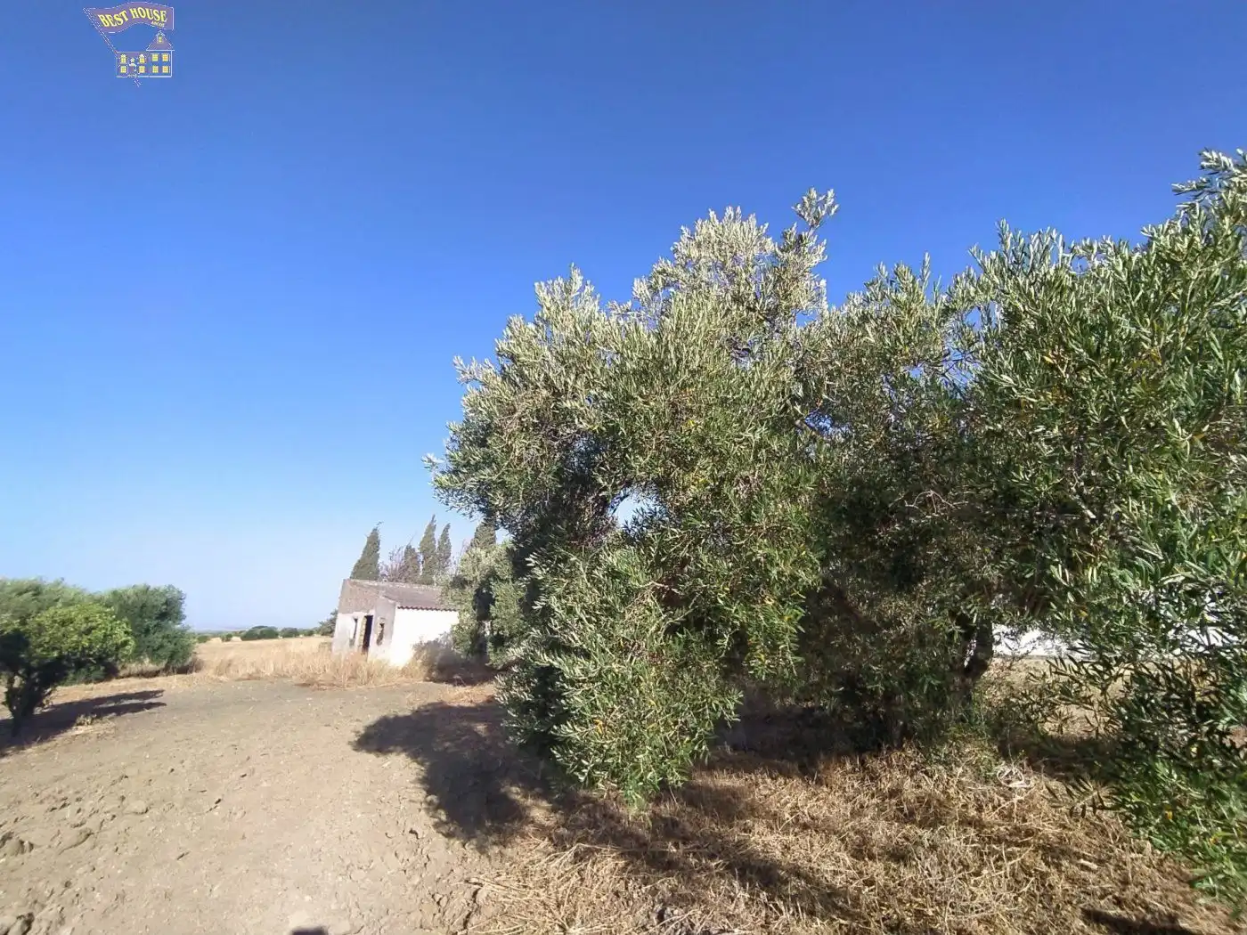 Casa rústica en venda a Arcos de la Frontera, imagen 4