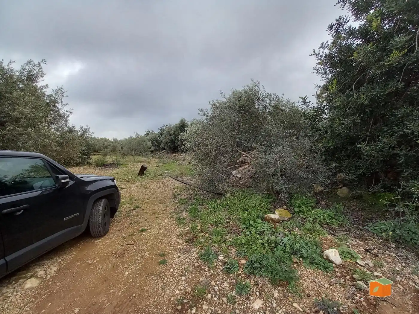 Terreno rustico in vendita a Alcanar, imagen 19