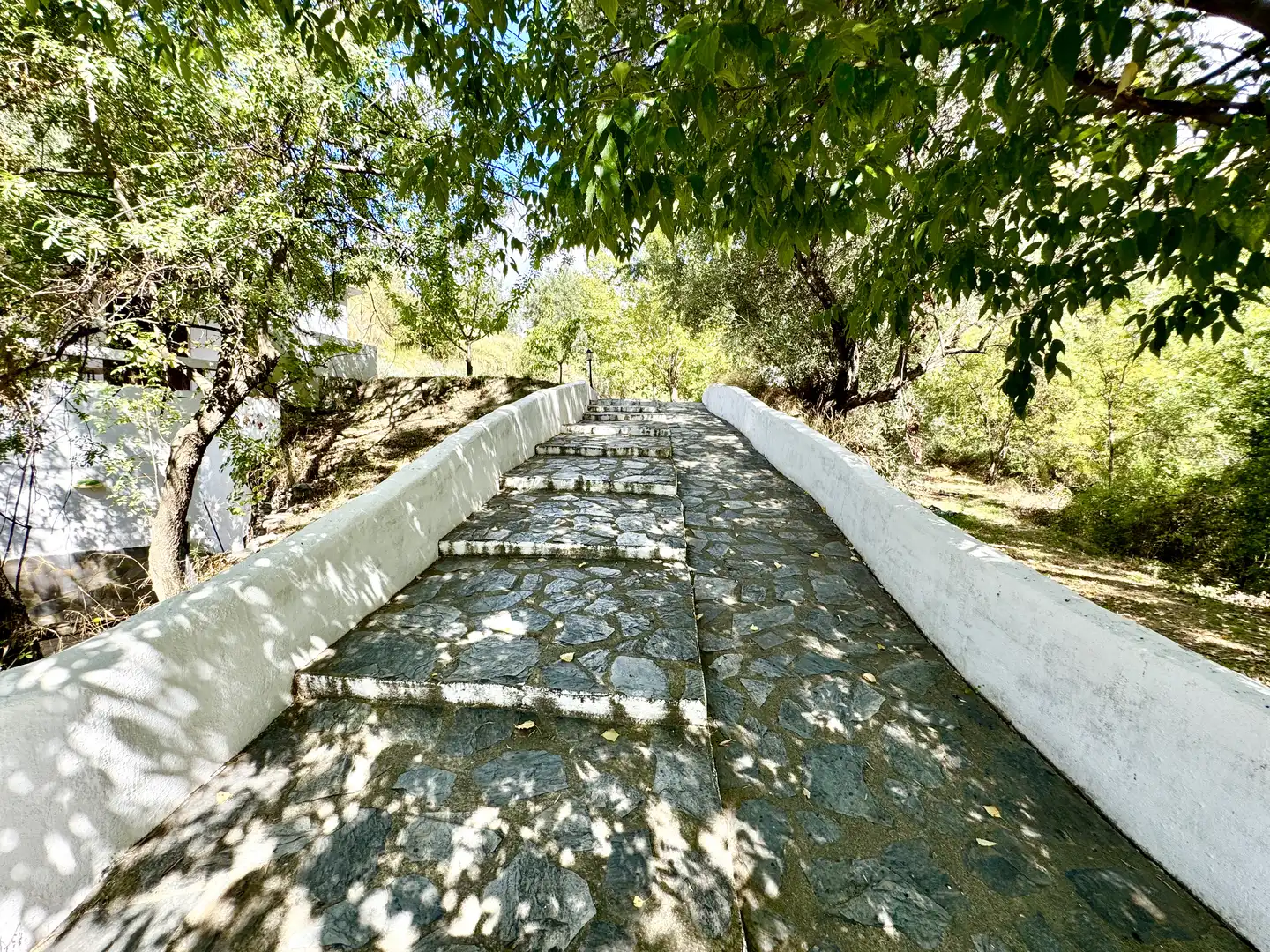 Vista exterior de Terreno en venta en Alpujarra de la Sierra