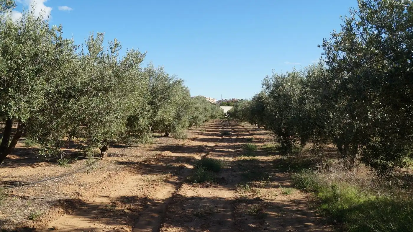 Finca rústica en venda en Constantí amb Jardí privat, Terrassa i Moblat
