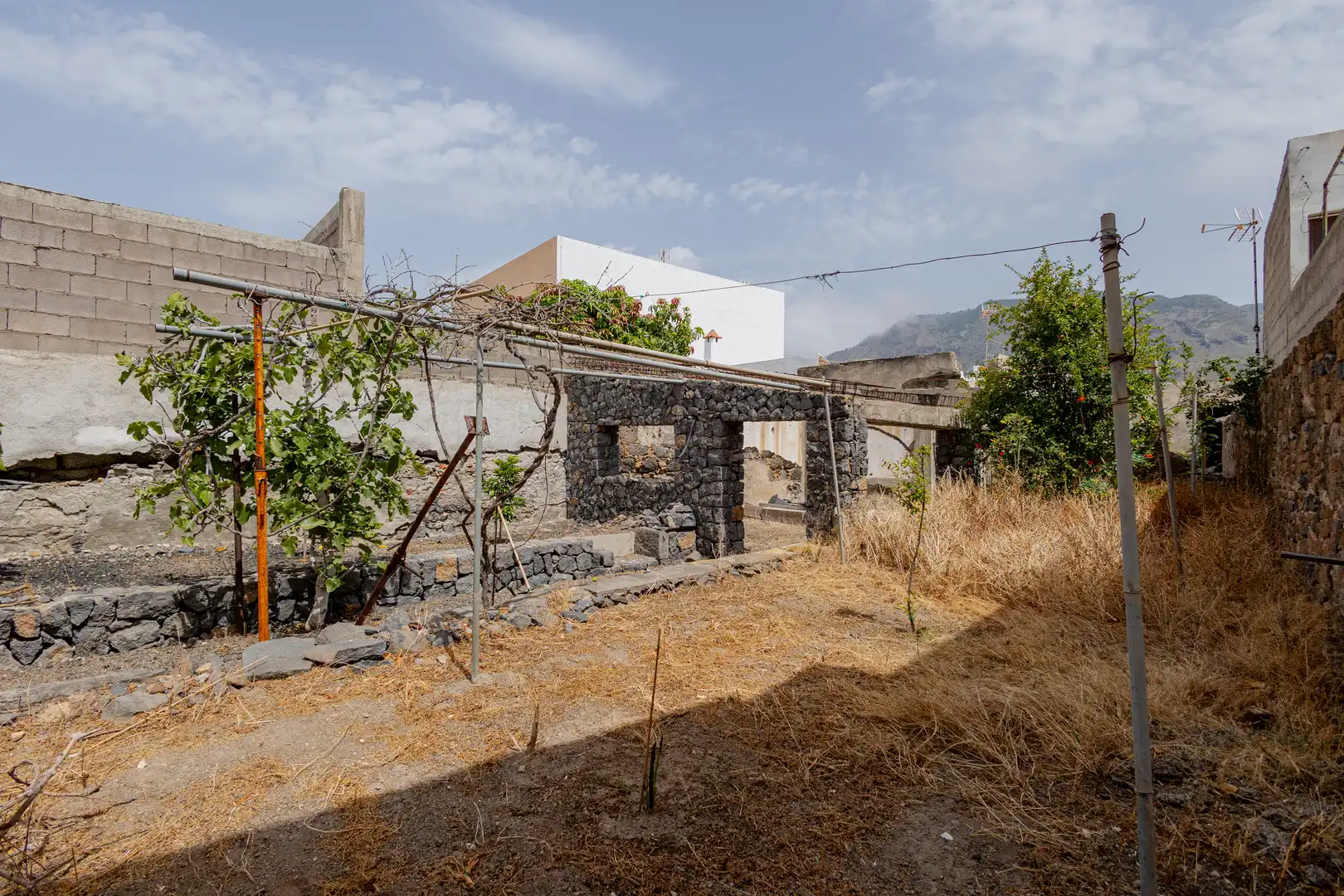 Vista exterior de Casa o chalet en venta en Buenavista del Norte