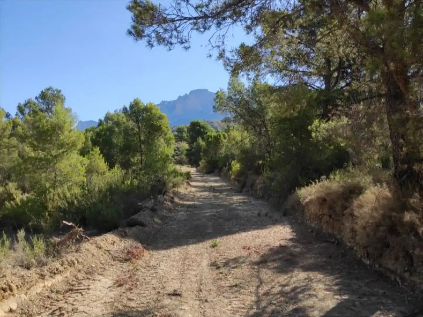 Vista exterior de Terreno en venta en Busot