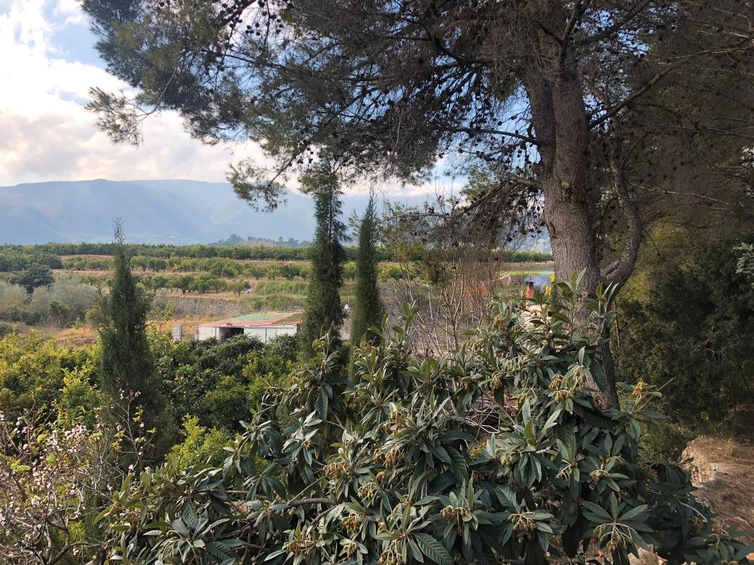 Garden of Country house for sale in Villalonga