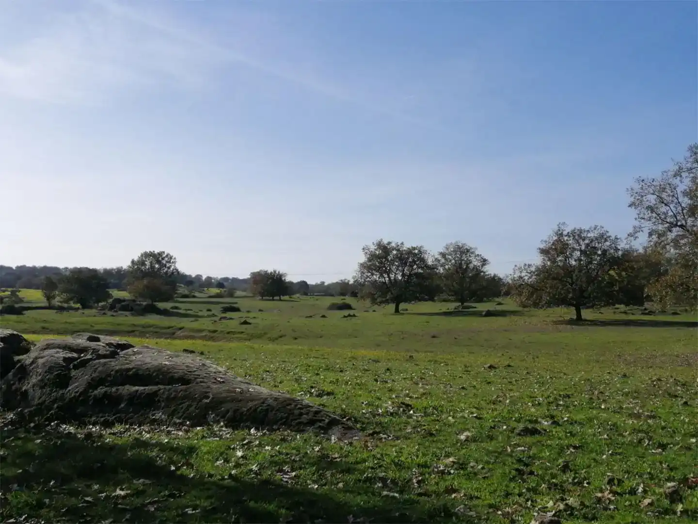 Terreno en venta en Gargüera, Cáceres