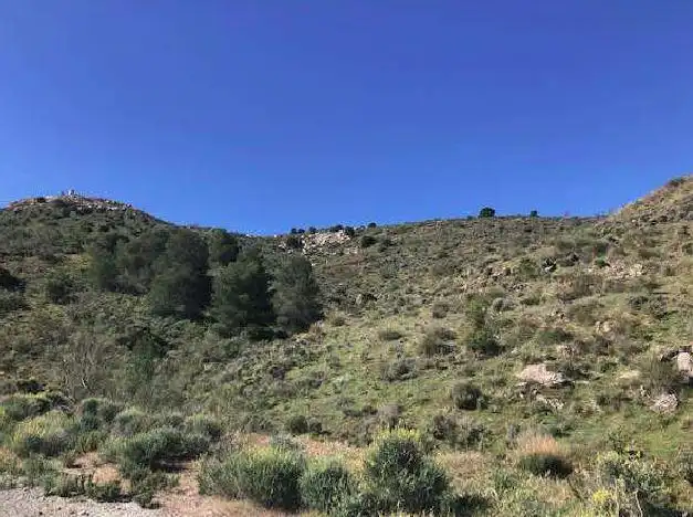 Land for sale in Sc/ Piedra Alegre, Purchena
