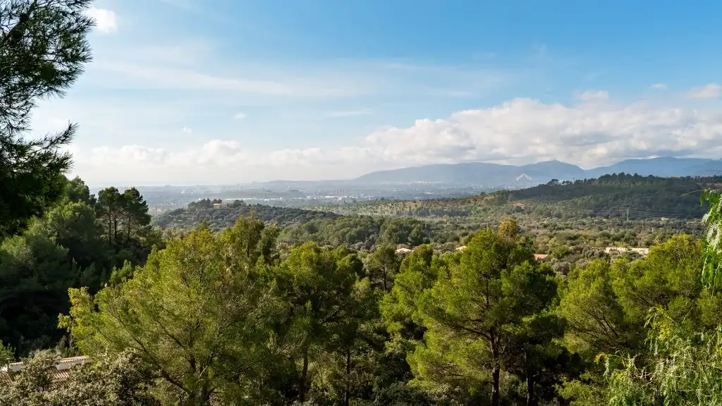 Country house with garden for sale in Bunyola, imagen 7